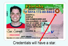 check the status of my florida driver